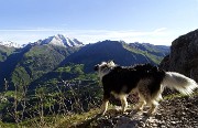 15 Nika osserva il panorama